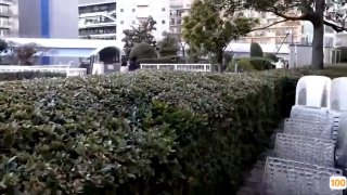 三级片在线一区⭕❌❌⭕久久久久国产成人精品亚洲午夜,成人免费毛片一区二区三区,国产成人久久精品激情91,国产成人无码精品久久久免费